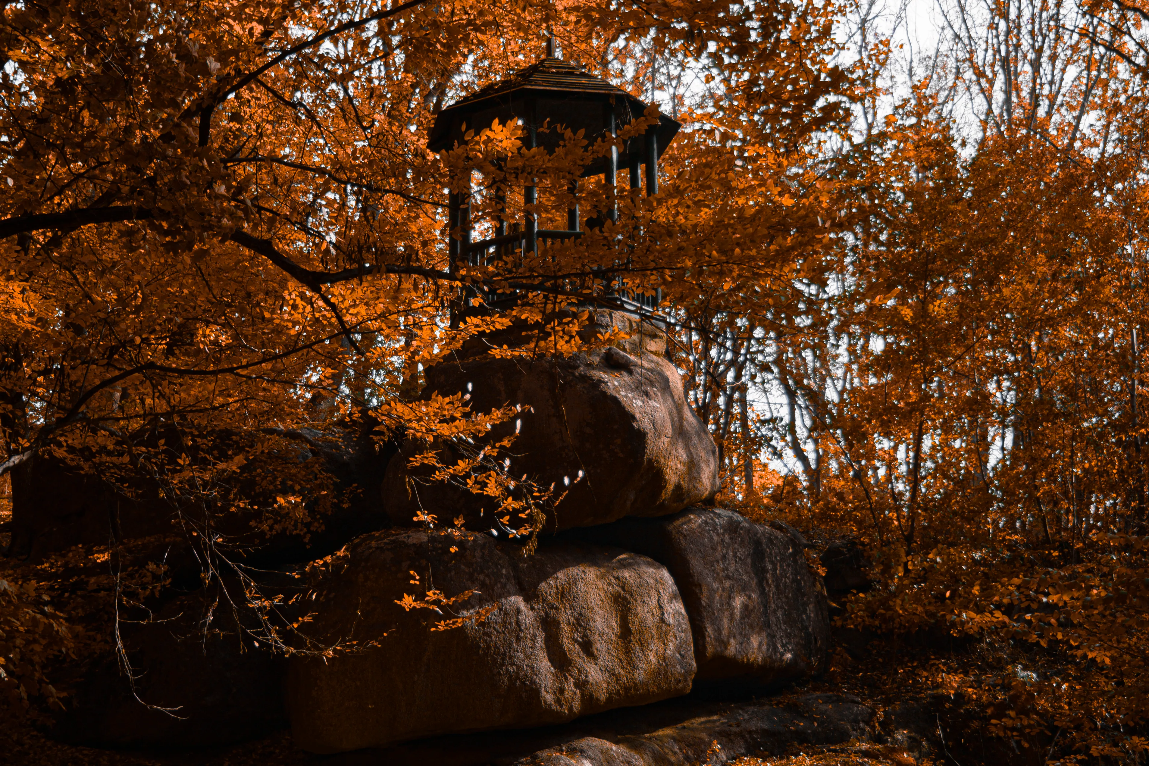 Фотографія як мова сучасного мистецтва: шлях до глибин естетики та емоцій